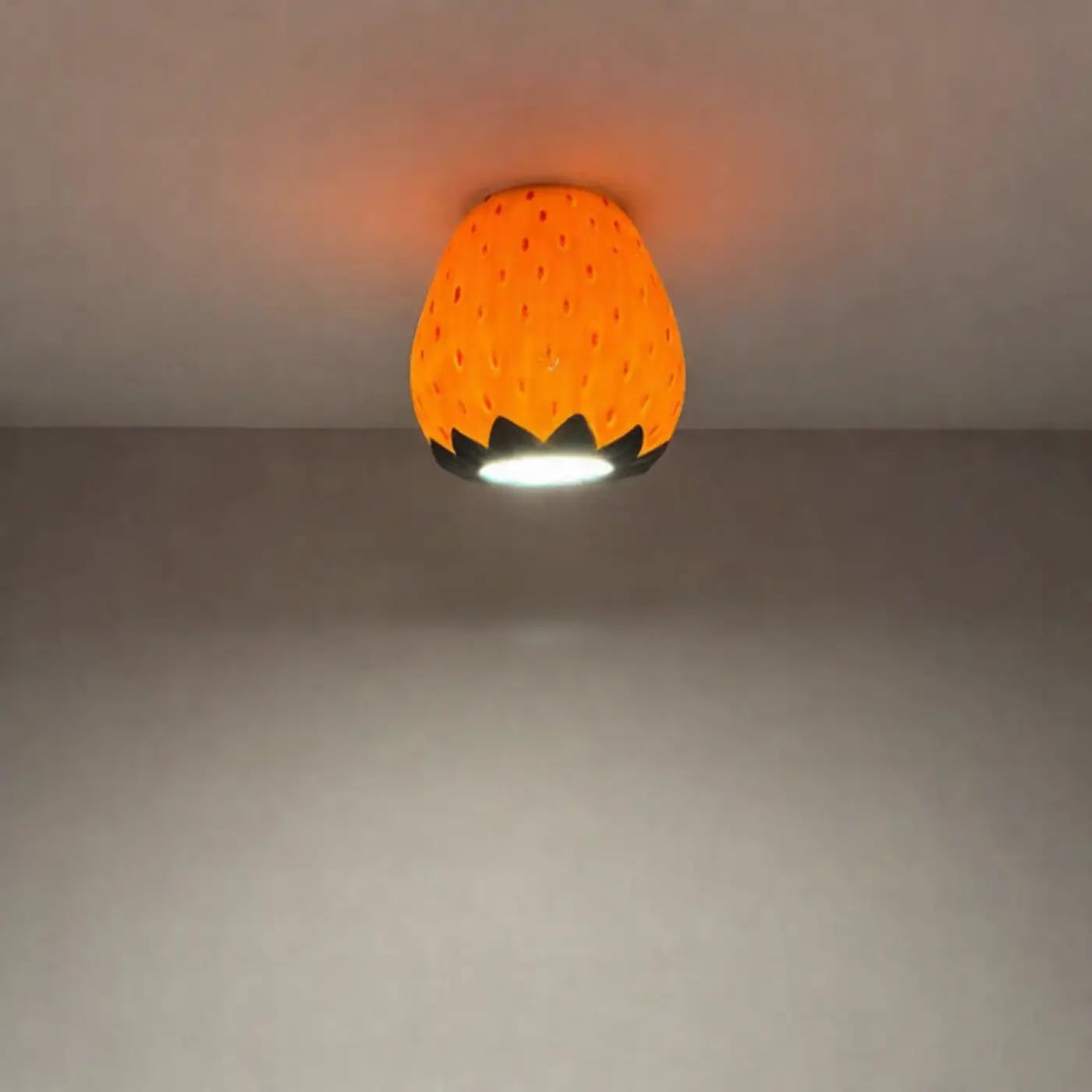 Luminaire Plafonnier | BERRY