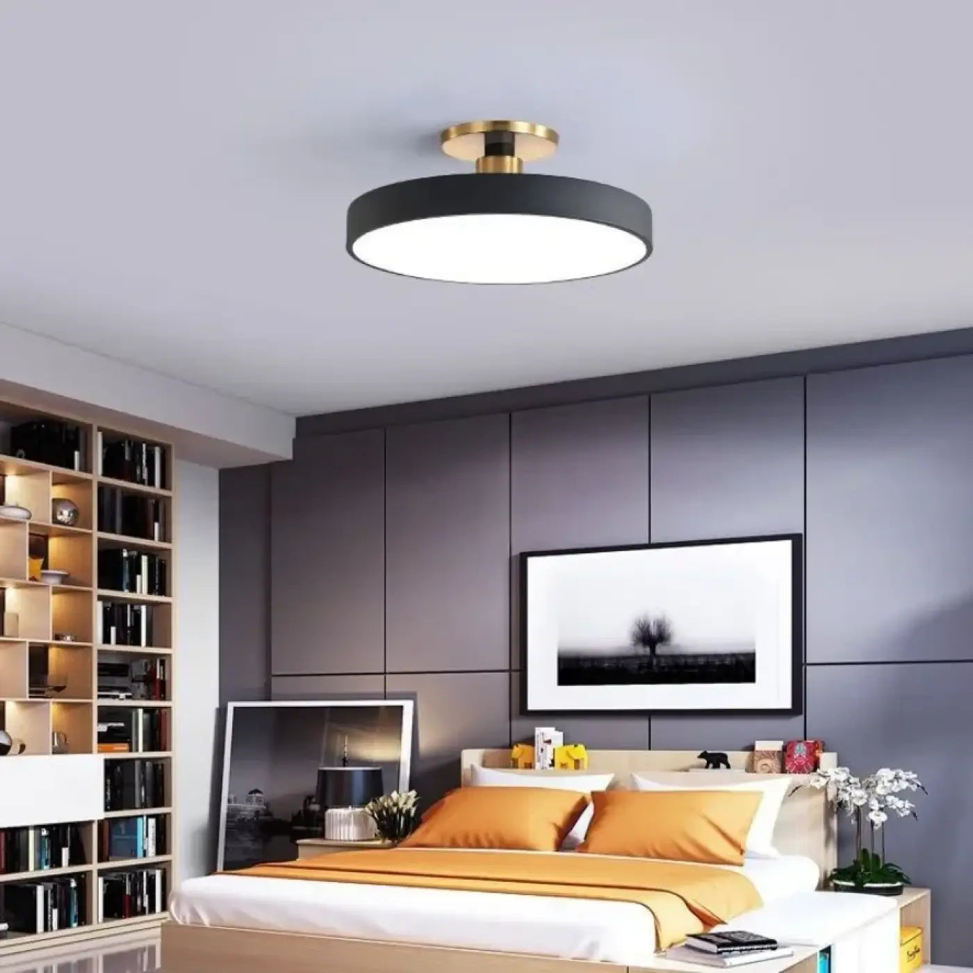 Luminaire Plafonnier | BISCO