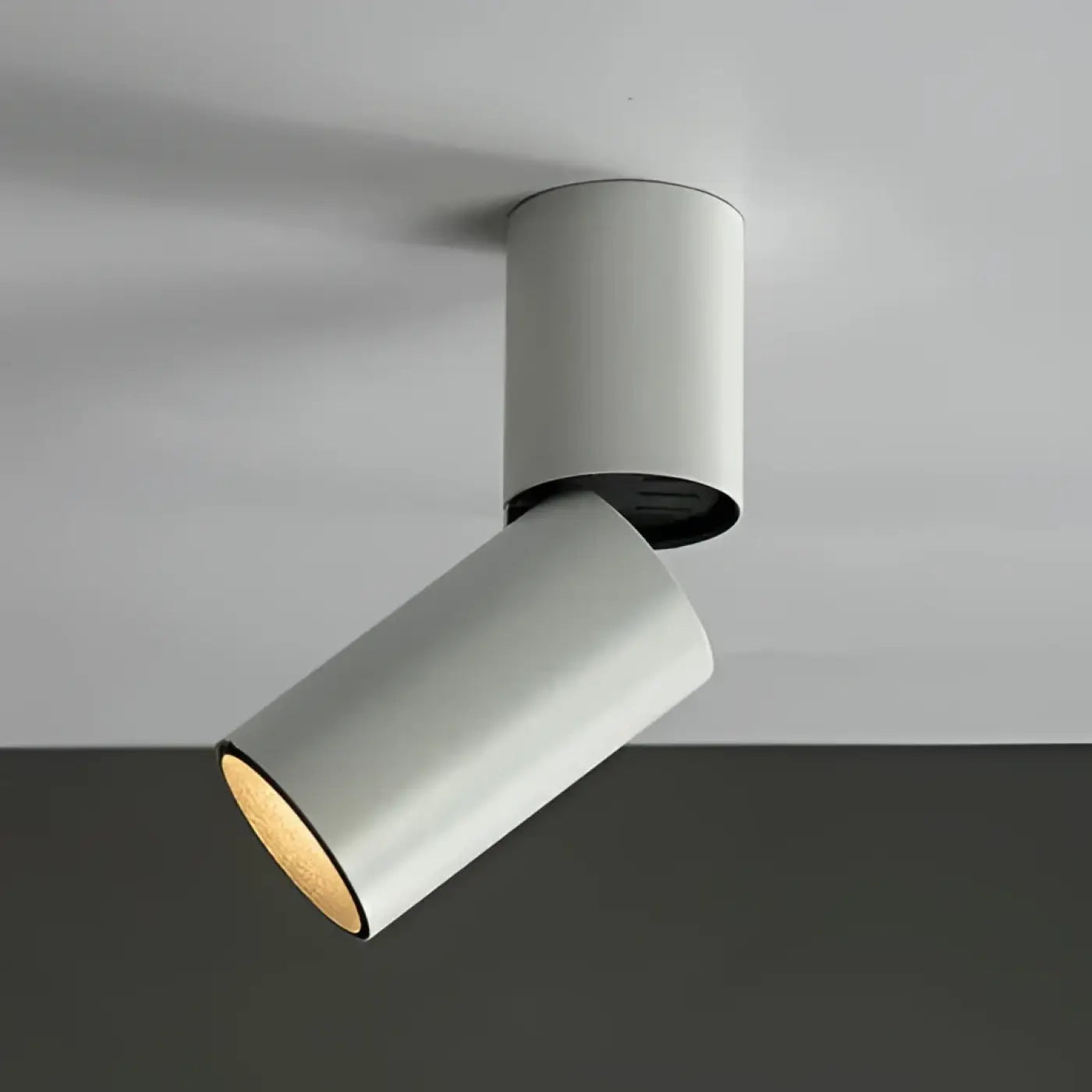 Luminaire Plafonnier | DARITUS