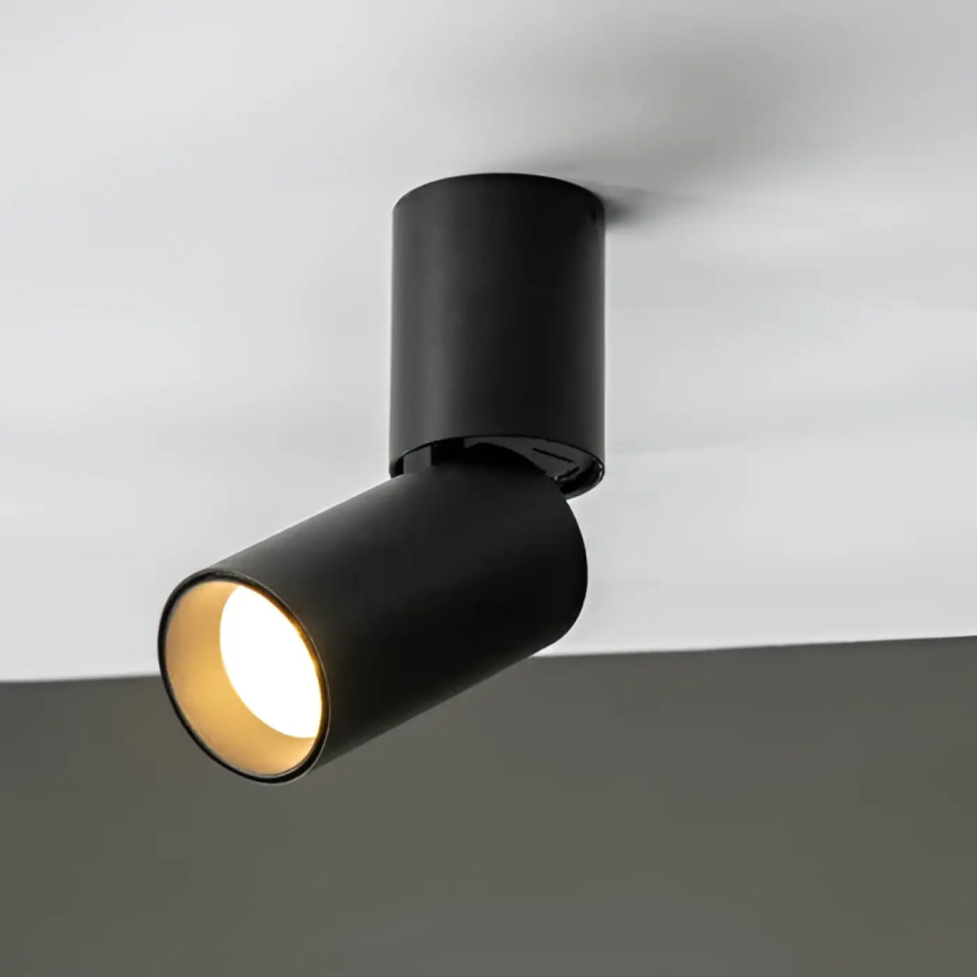 Luminaire Plafonnier | DARITUS