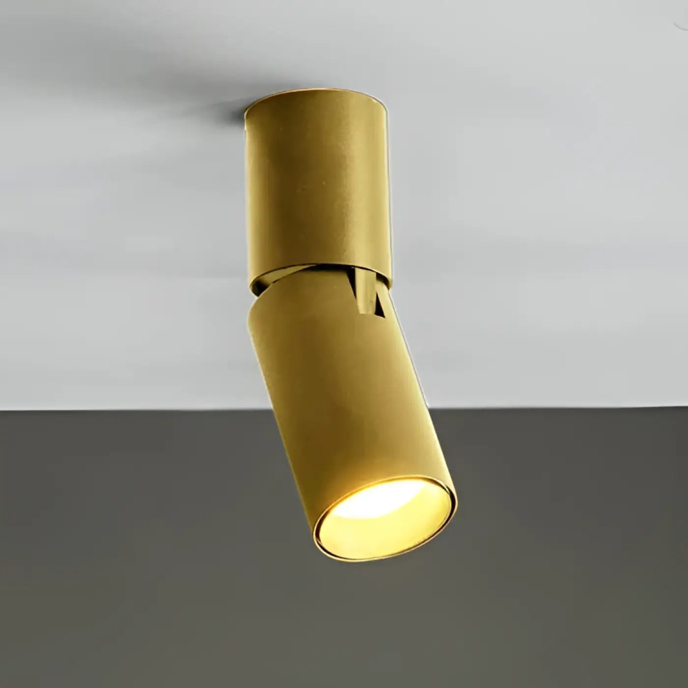 Luminaire Plafonnier | DARITUS