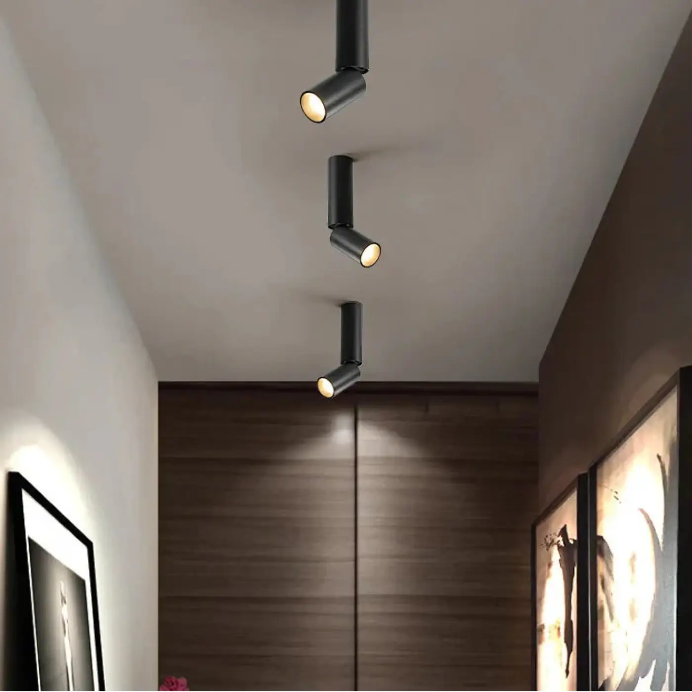 Luminaire Plafonnier | DARITUS