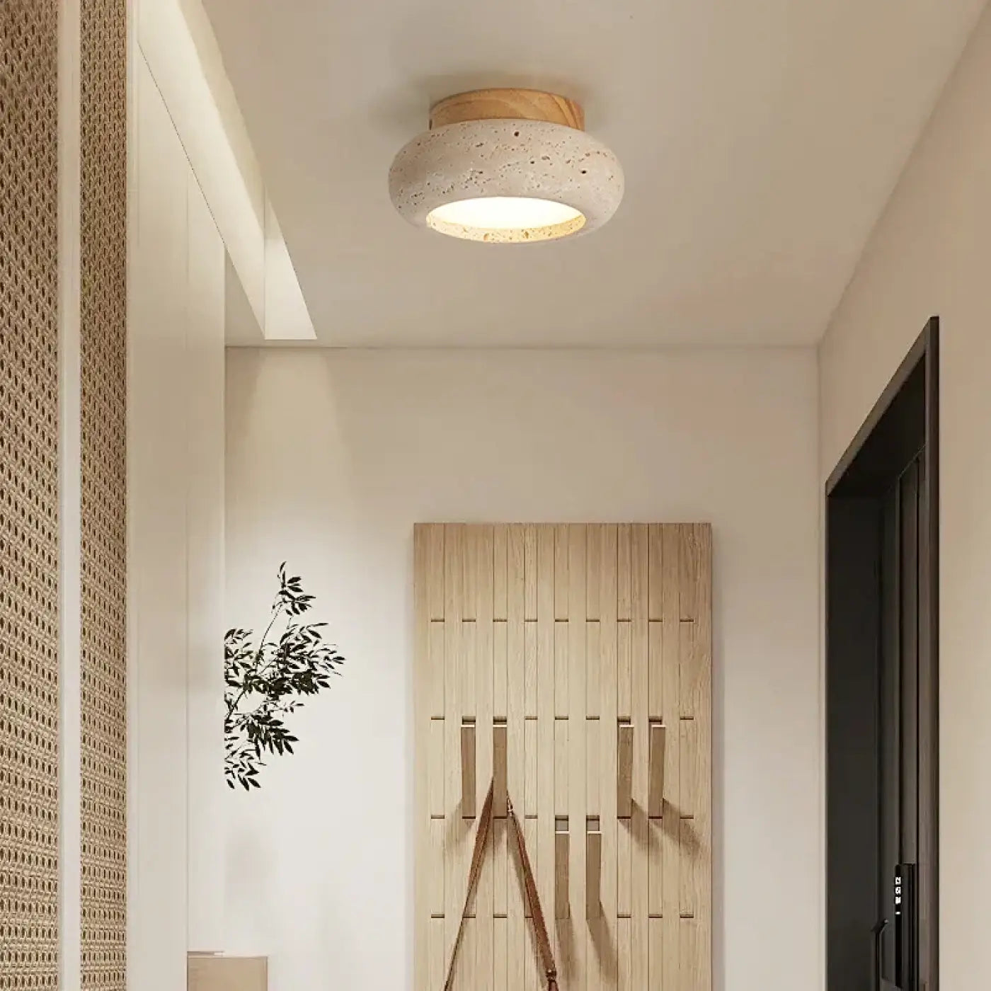 Luminaire Plafonnier | CANONY