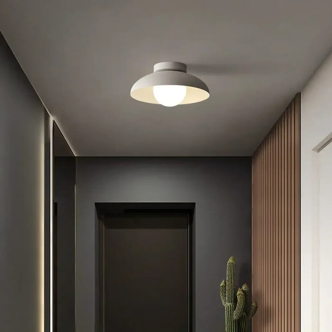 Luminaire Plafonnier | EVA