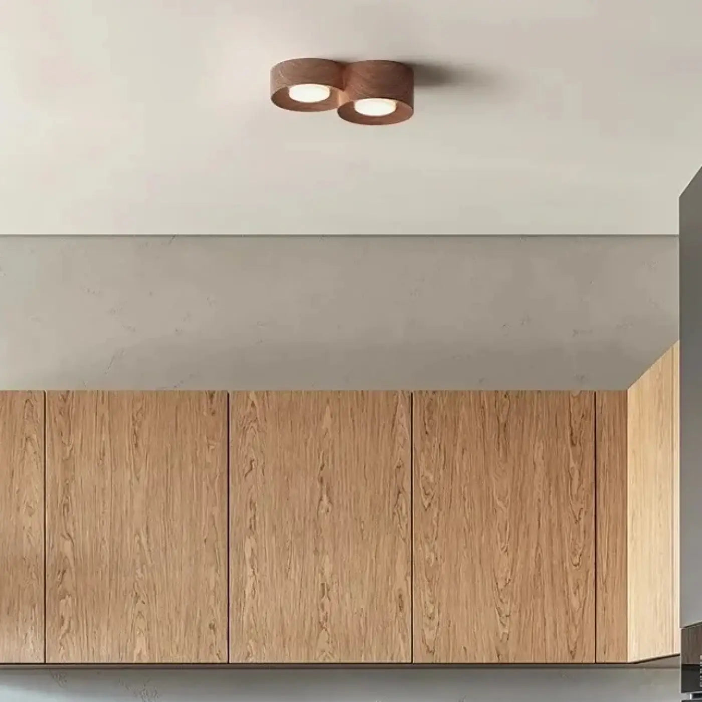 Luminaire Plafonnier | MIDDLES