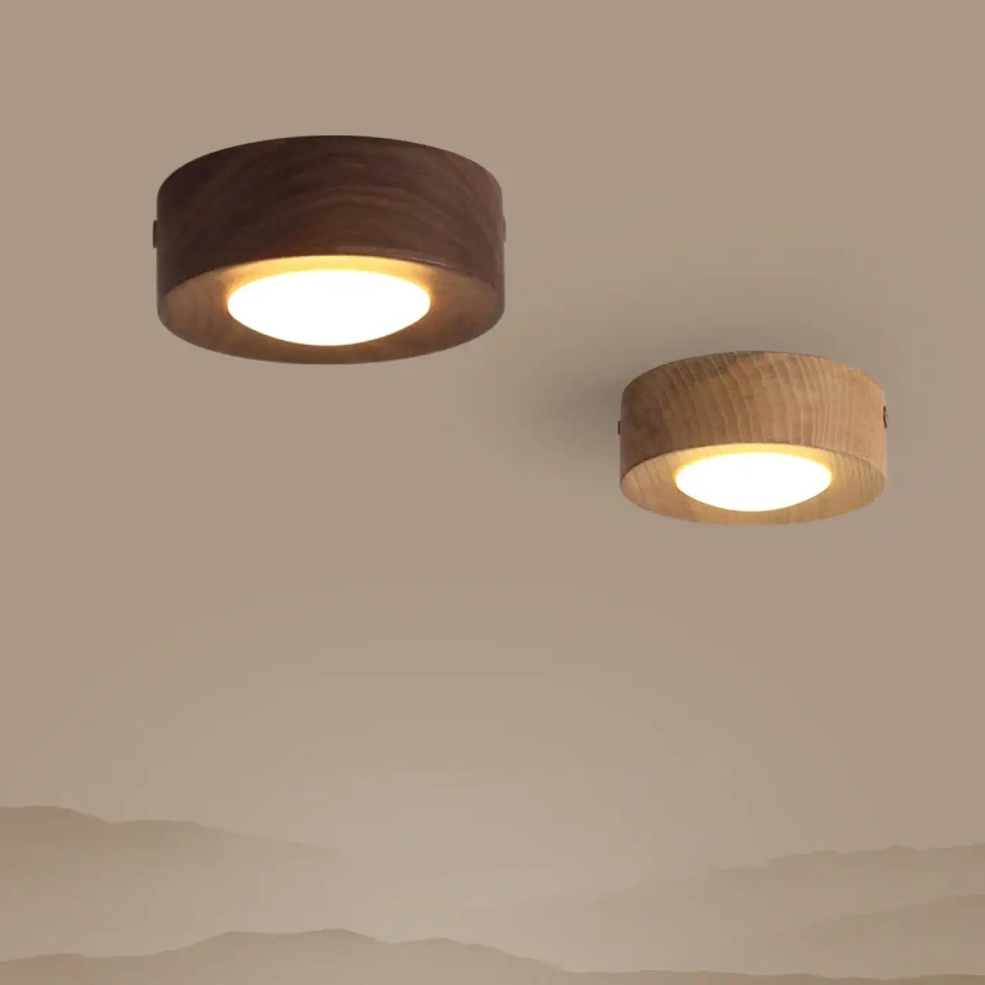  2 plafonnier accrocher sur le plafond en bois 